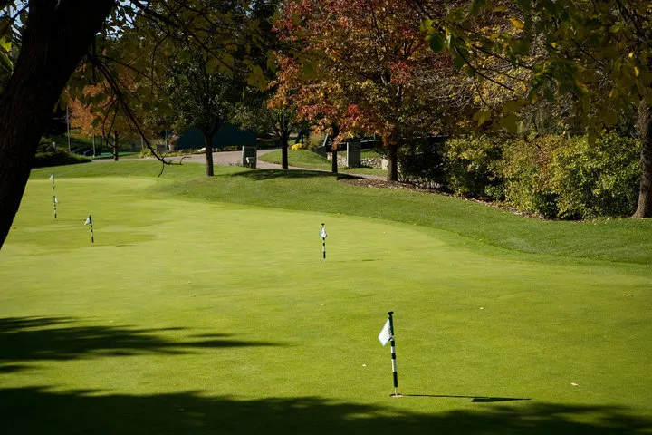 photo of Seven Bridges Golf Club putting green
